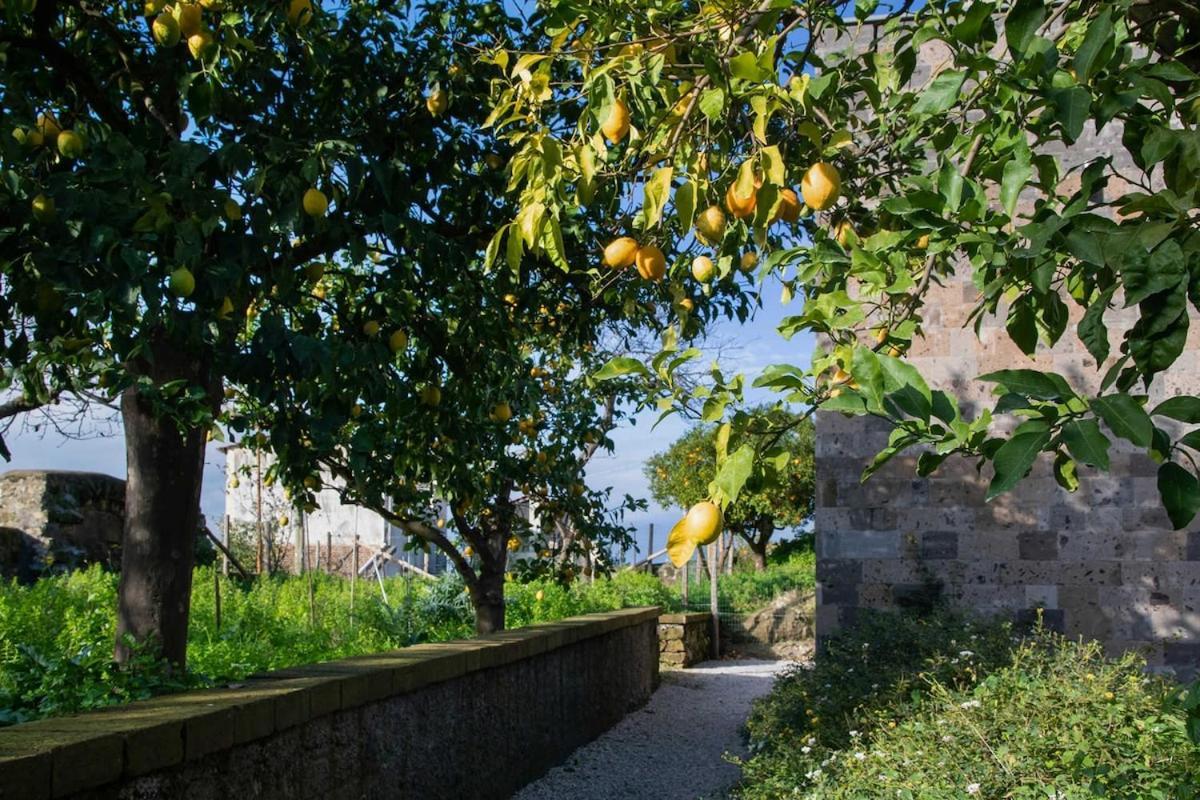 Domus Maresca Villa Sant'Agnello Buitenkant foto